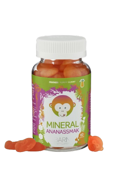 Mineraali Lappset 60kpl